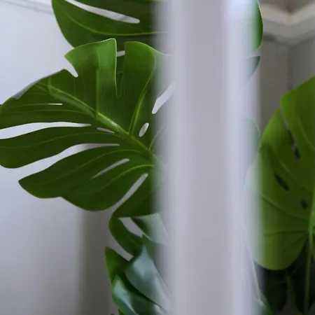 펜션 Waimea House Front The Sea Views 스카버러