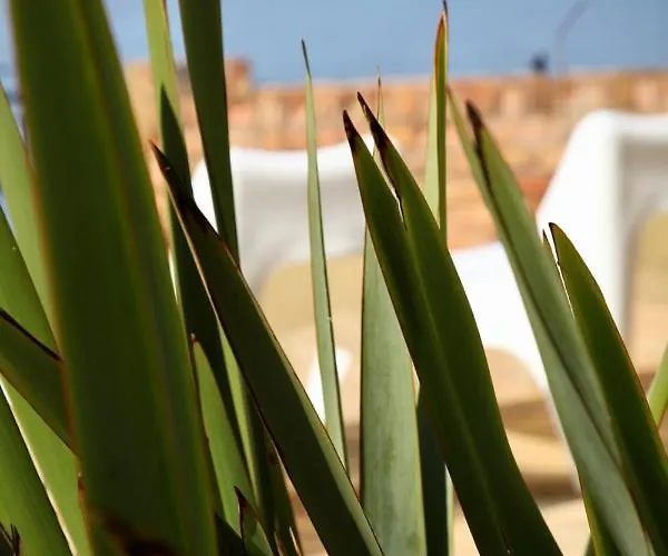 Waimea House Front The Sea Views