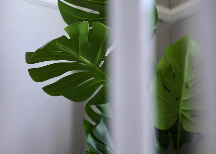 Waimea House Front The Sea Views Scarborough