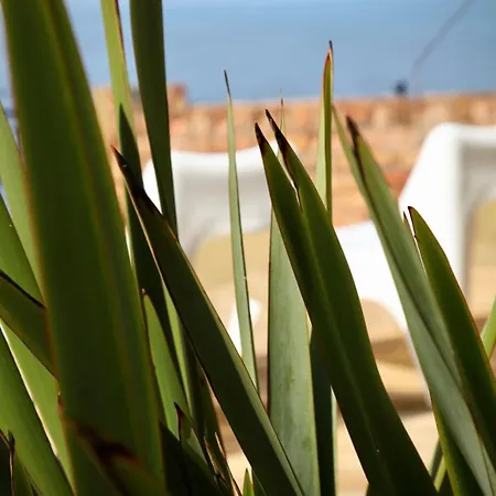 Waimea House Front The Sea Views * סקארבורו